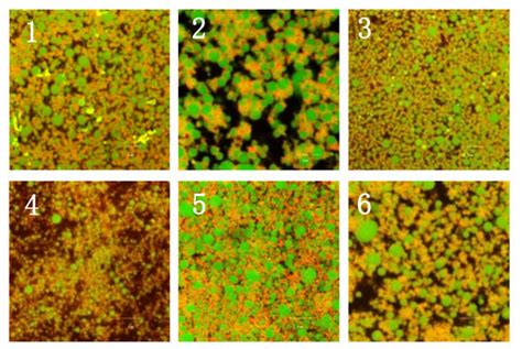 Gels | Special Issue : Application of Hydrocolloids in Human Health and ...