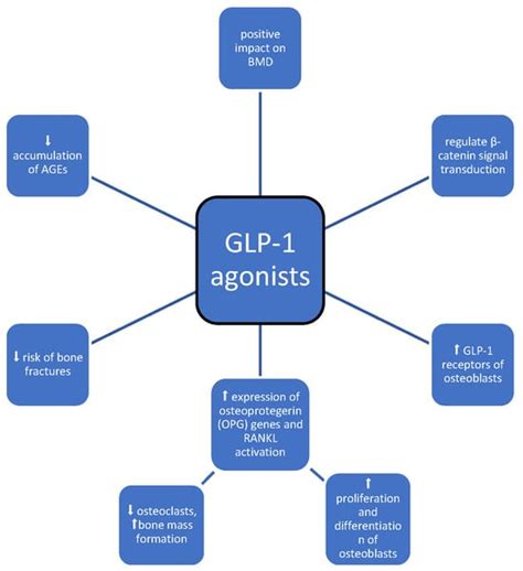 Effect of Drugs Used in Pharmacotherapy of Type 2 Diabetes on Bone ...