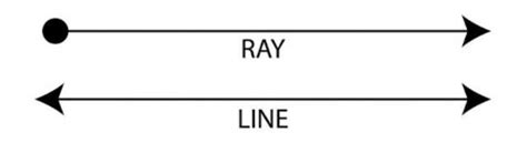 Dufine - A Ray, A line - Brainly.in