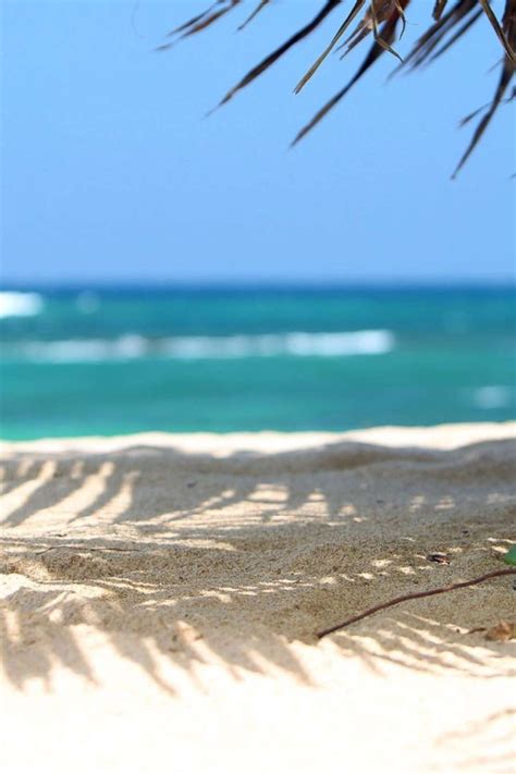 Download wallpaper beach, Sea, Summer, section landscapes in resolution ...