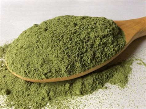 Simarouba Glauca Extract Manufacturer, Supplier from Bangalore