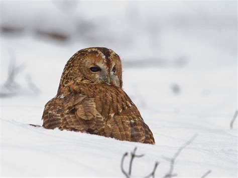 WATCHING.SK (2026) All You Need to Know BEFORE You Go (with Photos ...