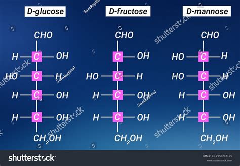 Chemical Structure Dglucose Dfructose Dmannose: เวกเตอร์สต็อก (ปลอดค่าลิขสิทธิ์) 2258247195 ...