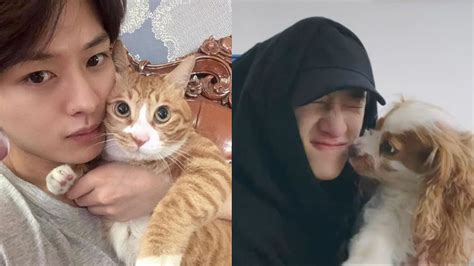 Meet Stray Kids’ pets: An introductory guide to the idols’ furry children