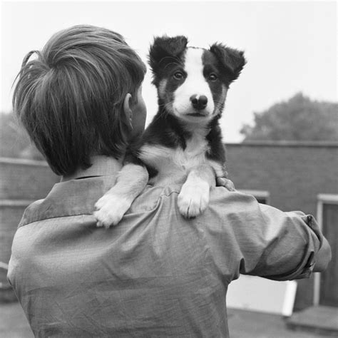 Adorable Photos of John Noakes and His Beloved Dog Shep in the 1970s ...