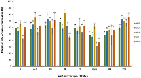 Harnessing Trichoderma spp.: A Promising Approach to Control Apple Scab ...