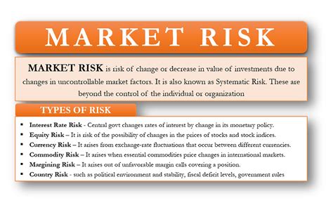 Risk Analysis in the Stock Market