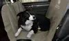 AKC Car-Seat Covers for Pets | Groupon Goods