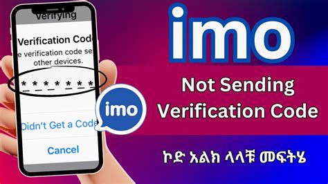 Verification Code IMO 的图像结果