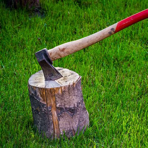 Image result for Using Grenade for Chopping Logs