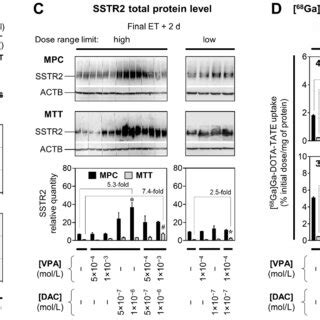 Image result for DOTA-TATE Scan