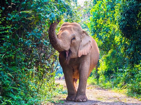 Sattahip Tourism (2024): All You Need to Know Before You Go