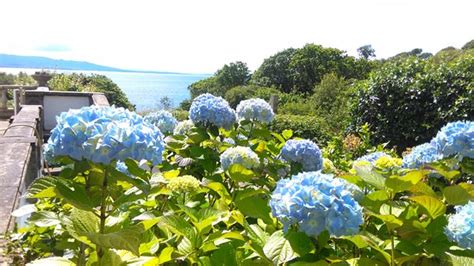 Morar Bed and Breakfast (Ardvasar) - B&B Reviews, Photos, Rate ...