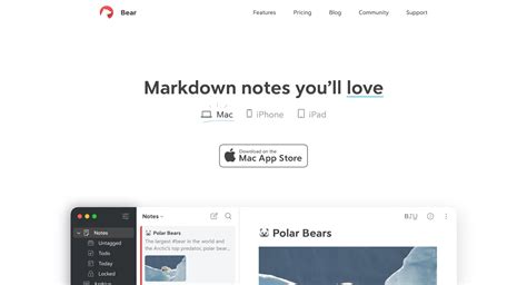 Knowledge Management App 的图像结果