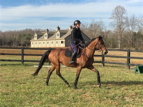 Image result for Tryon Equestrian Center Barn