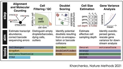 Single Cell Analysis Free Software 的图像结果