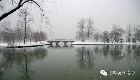 你在北方的艳阳天，我在南京大雪纷飞！冬季到南京来看雪！|南京|大雪|艳阳天_新浪新闻