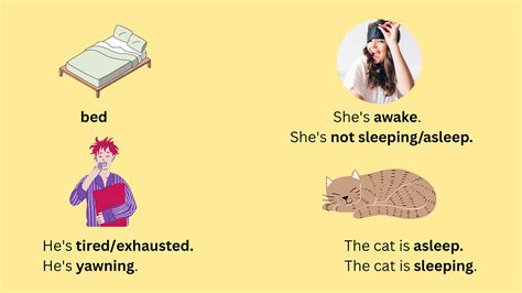 English Sleep Learning 的图像结果