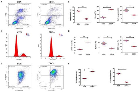 Chenodeoxycholic Acid (CDCA) Promoted Intestinal Epithelial Cell ...
