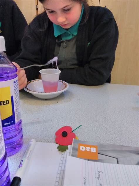 Classification Science P6 的图像结果