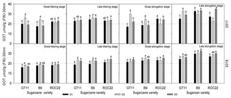 Long-Term Effects of Different Nitrogen Levels on Growth, Yield, and ...