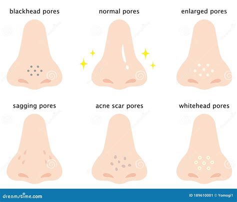 Skin Pores Vector Illustration | CartoonDealer.com #75358188