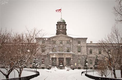 5 melhores universidades do Canadá para brasileiros