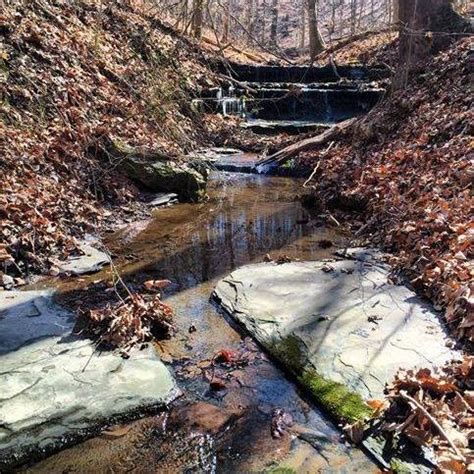 👀 Looking for Barren River Lake's daily lake level information? The U.S ...