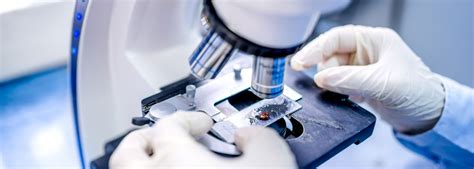 Microbiology « St. Peter's Medical College Hospital