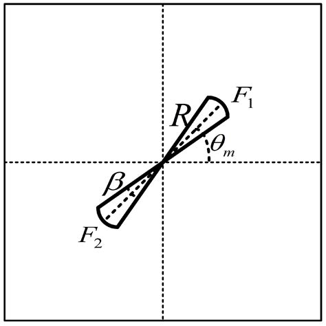 Velocity Vector Estimation of Two-Dimensional Flow Field Based on STIV