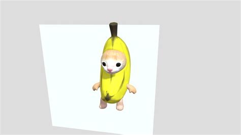 Image result for Cat Writing Python Code