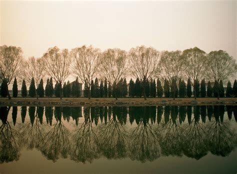 Image result for Patterns in Nature