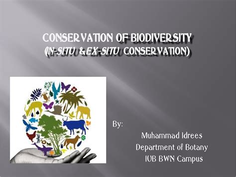 SOLUTION: Conservation of biodiversity in situ ex situ conservation ...