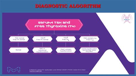 Image result for Hypothyroidism Treatment Algorithm