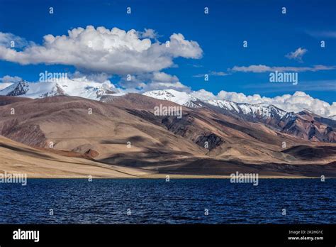 Image result for Different Types of Computer Users Image