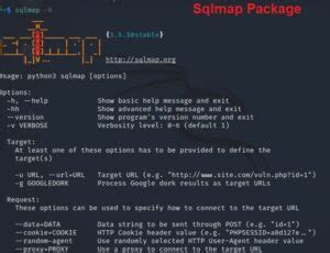 Sqlmap Tutorial Kali 的图像结果