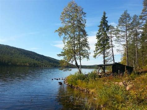 STF NAVARDALENS VILDMARKSSTATION (Alvdalen) - Hostel Reviews & Photos ...