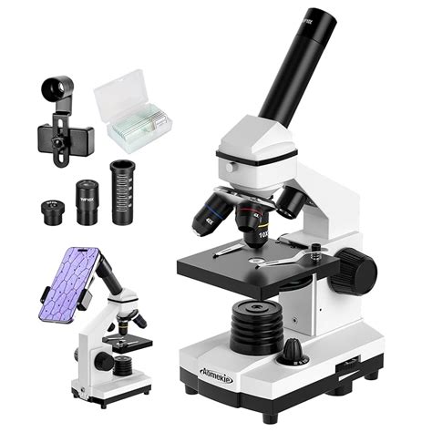 Image result for Microscope Magnification