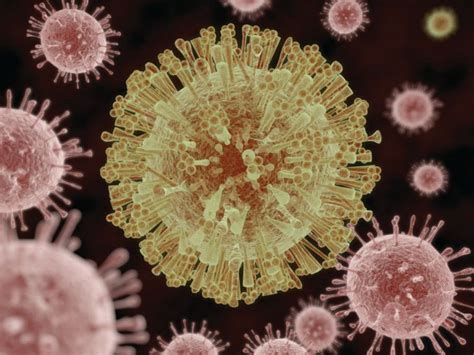 GB syndrome cases rise to 163 in Maharashtra Death toll reaches 5 ...
