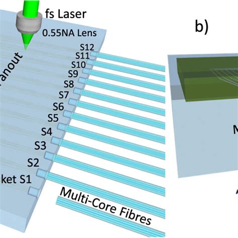 Image result for Interposer Spring Contacts