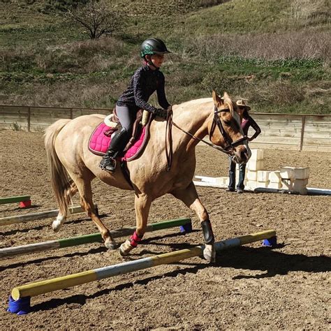 Cavaletti Clinic, Canada Larga Stables, Oak View, 27 December 2023 ...