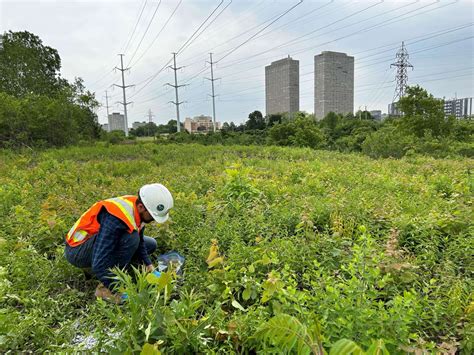 Land Development Engineering Process 的图像结果
