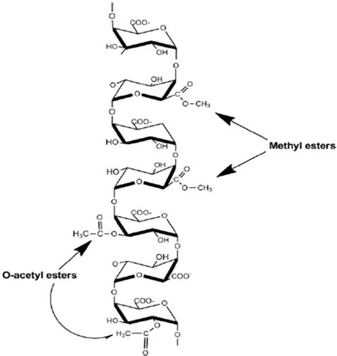 Image result for Pectin Structure