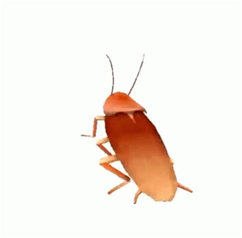 Dancing Cockroach 的图像结果