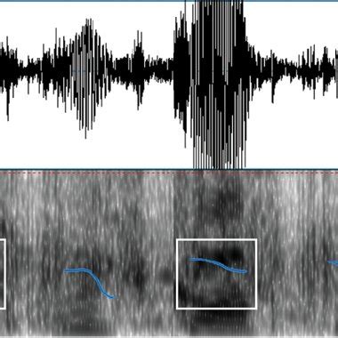 Image result for How to Make a Spectrogram