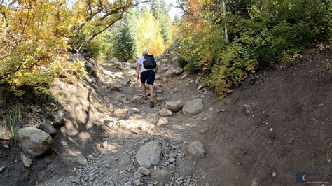 Horsetail Falls Hike from the Dry Creek Trailhead in Alpine, Utah