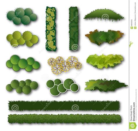 Hedges And Bush Set For Landscape Design Stock Vector - Illustration of ...