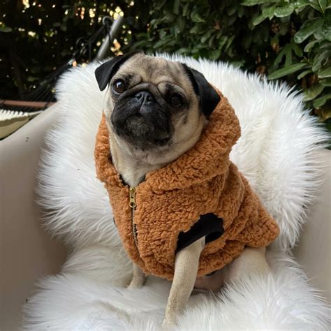 Cappotto Per Cani Grandi Media Giacche In Pile Cane,Pigiama