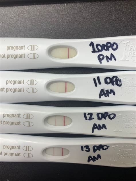 [ベスト] chemical pregnancy line progression 870933-Do lines get darker ...