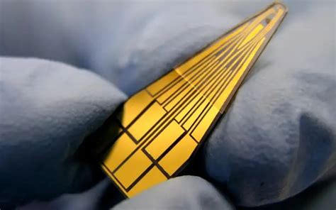 Schott MiniFAB Microarray 的图像结果